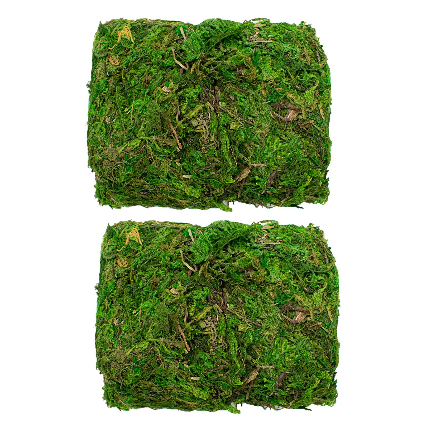 100g Decorative Dried Green Moss – Real Preserved – ­Perfect for Plants & Flower Arranging or Wreath Making – Terrariums or Reptile Cages