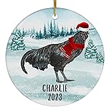 Santa Hat and Scarf Welcome Winter Ayam Cemani