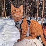 rabbitgoo Cat Harness and Lead Set XXS Reflective Escape-Proof Grey view 9