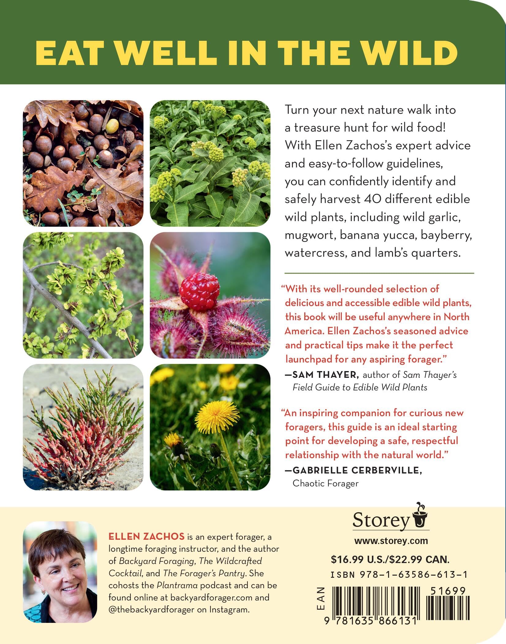 How to Forage for Wild Foods without Dying: An Absolute Beginner's Guide to Identifying 40 Edible Wild Plants