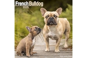 French Bulldog Calendar 2025 | Square Dog Breed Wall Calendar - 16 Month