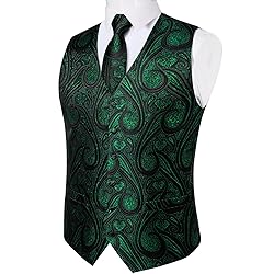 DiBanGu Mens Vest and Tie Set Formal Paisley