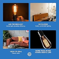 Basics Hardware Incandescent Edison Light Bulbs