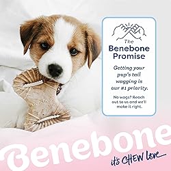 Benebone Puppy 2-Pack Dental Chew/Wishbone Dog Chew