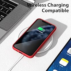 oakxco for iPhone 11 Pro Phone Case Liquid