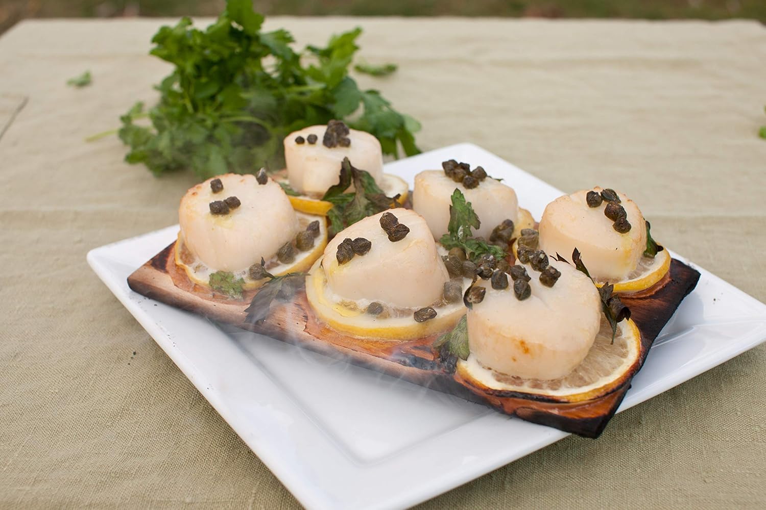 Case of 50 Small 3.5x7 Cedar Grilling Planks Plate Size - Restaurant Quantity: Garden & Outdoor
