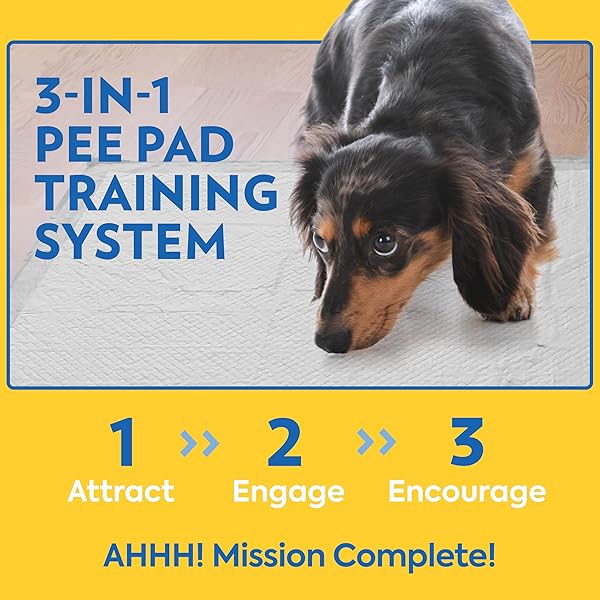 OUT! PETCARE XXL DOG TRAINING PADS, HEAVY DUTY DOG PEE PADS XXL, JUMBO PUPPY PADS, WEE WEE PADS FOR DOGS AND PUPPIES, DOG HOUSE TRAINING, LEAK PROOF, SAFE, DISPOSABLE, 26″X30″, 30 CT