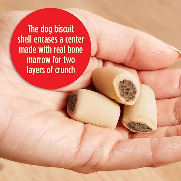 MILK-BONE MAROSNACKS DOG TREATS, PEANUT BUTTER, 40 OUNCE WITH REAL BONE MARROW AND CALCIUM