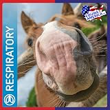Equine America Airways Xtra Strength Ready To Use 500g Horse Supplement view 7