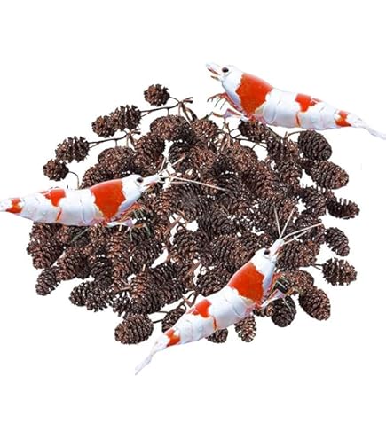 thumbnail image 2 of Alder Cones For Shrimp Betta Fish Aquarium Promotes 2 of 14