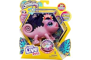 Little Live Pets Lil' Chameleon Single PK NOVA