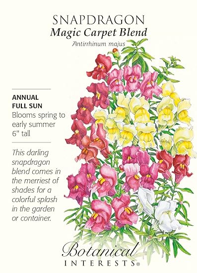 Botanical Interests Magic Carpet Blend Snapdragon Seeds 350 Mg Annual