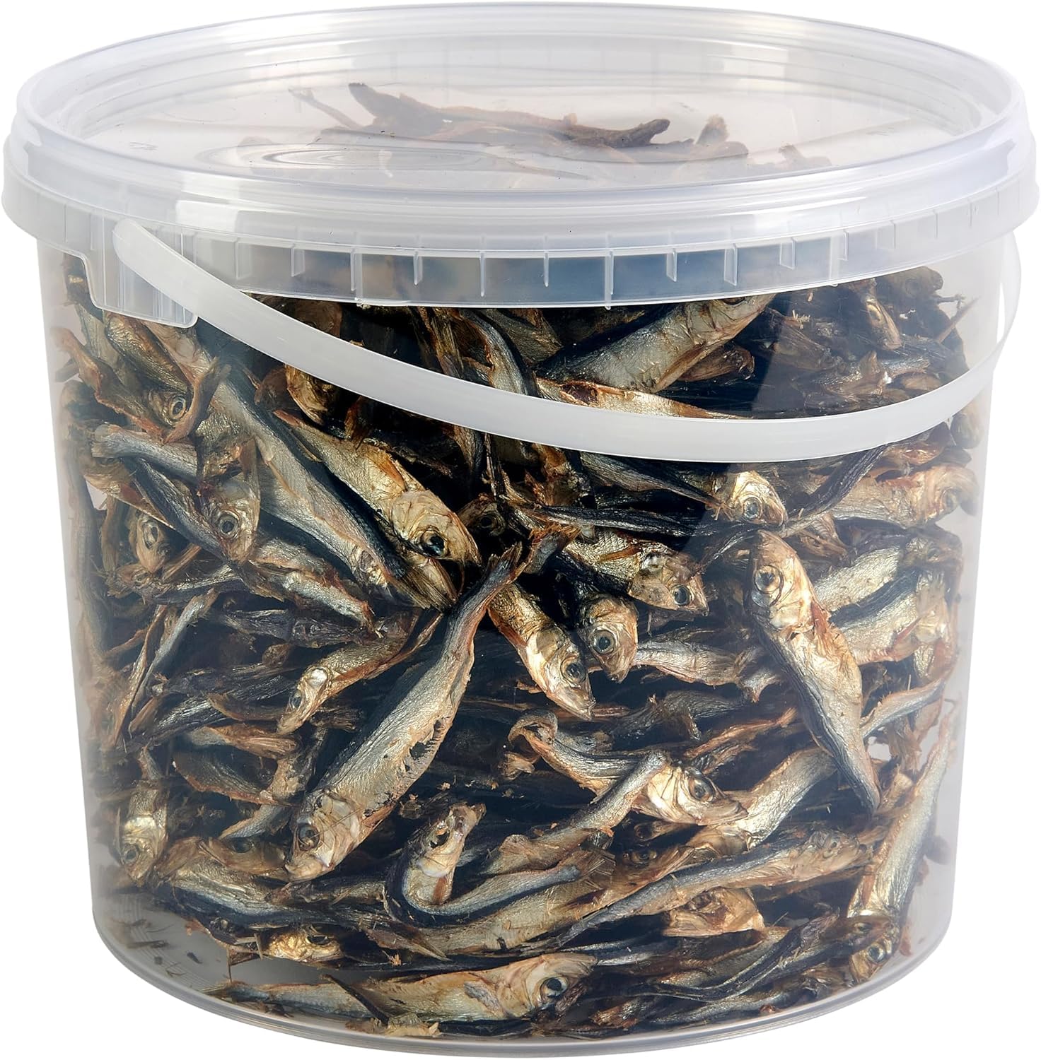 Premium Fish Sprats Dog Treats, 5L Tub — image 1