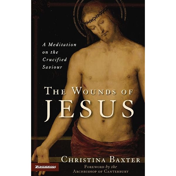 The Seven Wounds of Christ: Hartley, Fred: 9781619582583: Amazon