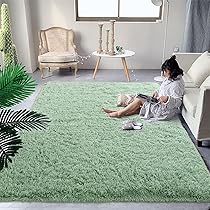 DweIke Sage Green 5x8 ft Shag Rug for Living Room, Bedroom, Kids