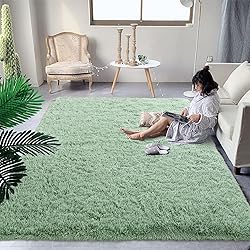 DweIke Fluffy Sage Green Rugs for Bedroom Living
