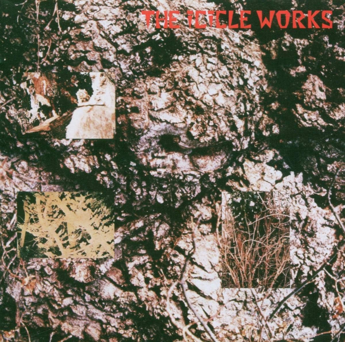 Icicle Works, The (Remastered And Expanded)
