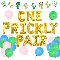 Amazon.com: Cactus 1st Birthday Party Decorations for Twins One ...