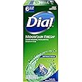 Dial Antibacterial Bar Soap, Mountain Fresh, 3.2 Ounce, 6 Bars