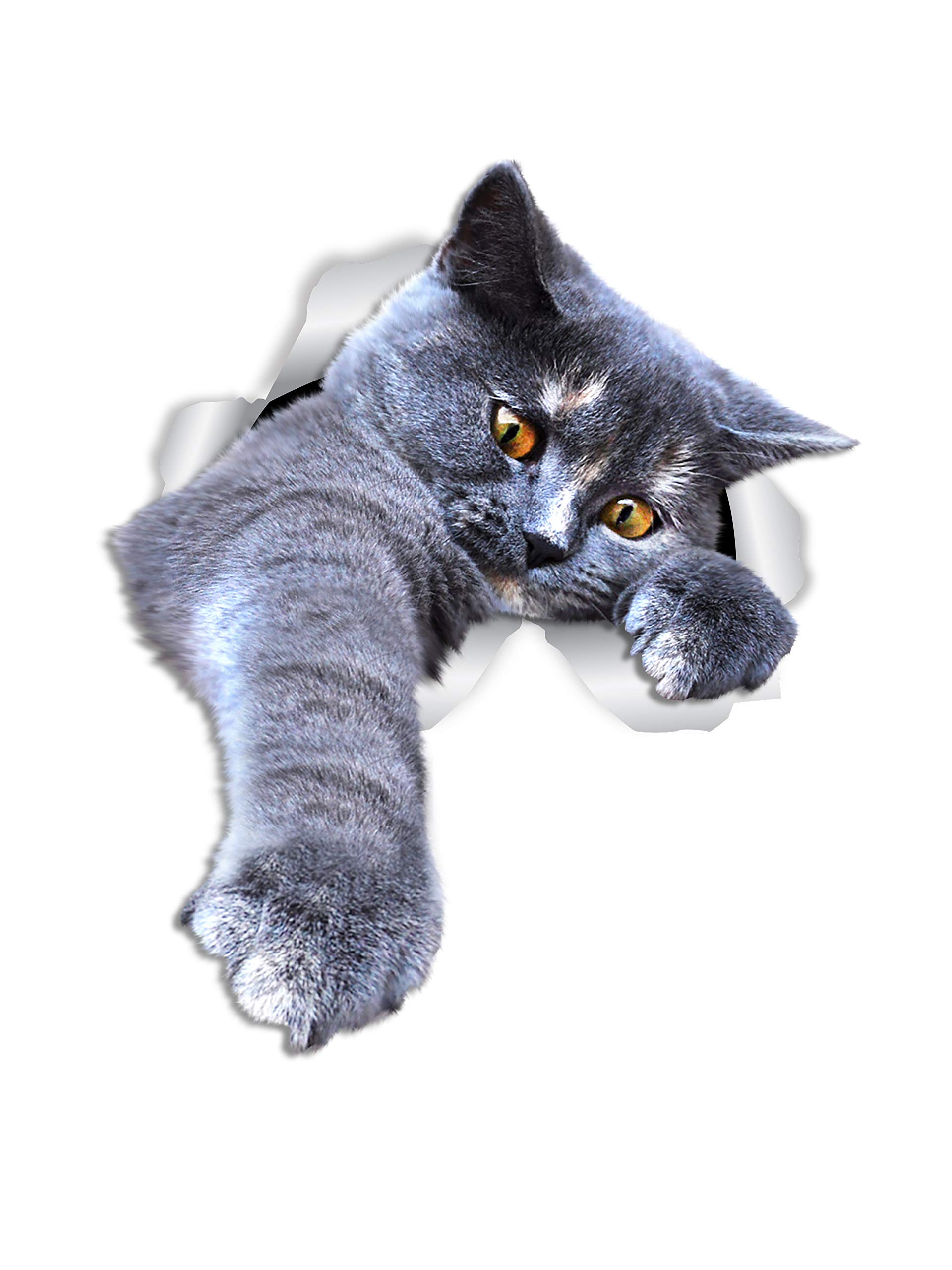 Winston & Bear Playing Grey Cat Wall Decals - 2 Pack - Grey Shorthair Cat Toilet Sticker – 3D Cat Car Window and Bumper Sticker - Retail Packaged Gray Cat Lover Gifts