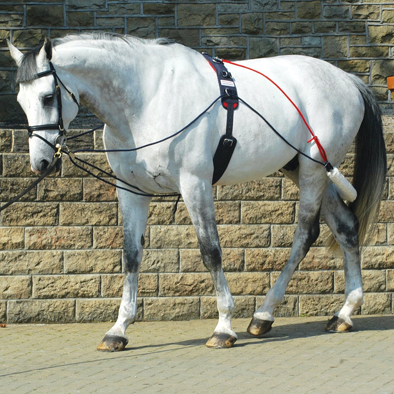 John Whitaker See Description John Whitaker System, Blue, One Size UK