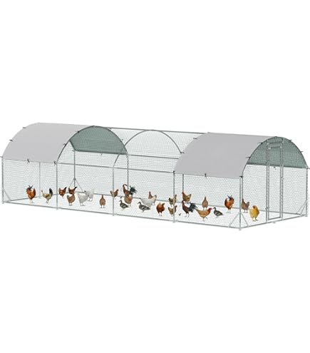 Chicken Ball Cage Movable 3 Pieces Chicken Orb Ball Cage Pet Safety