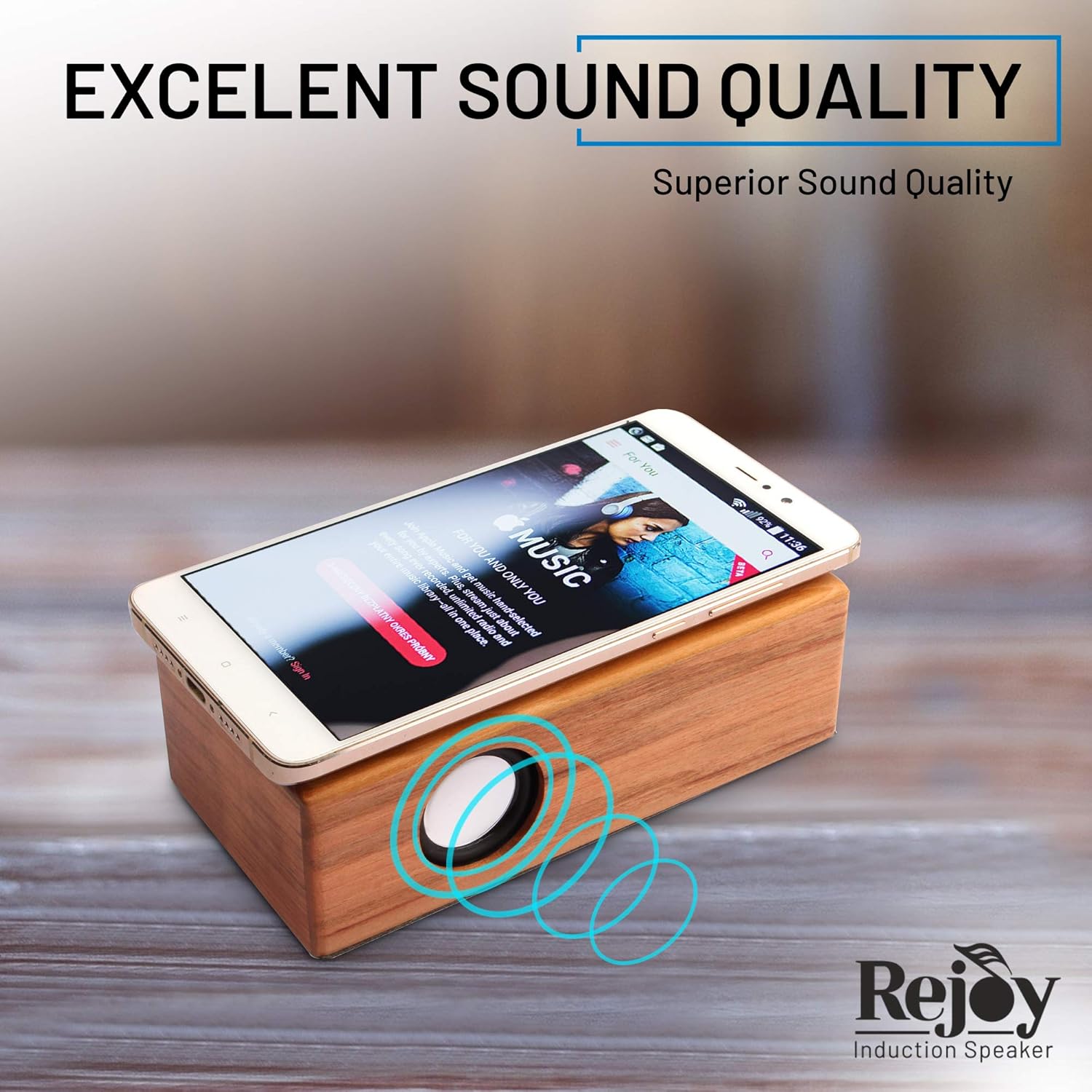 wood induction speaker