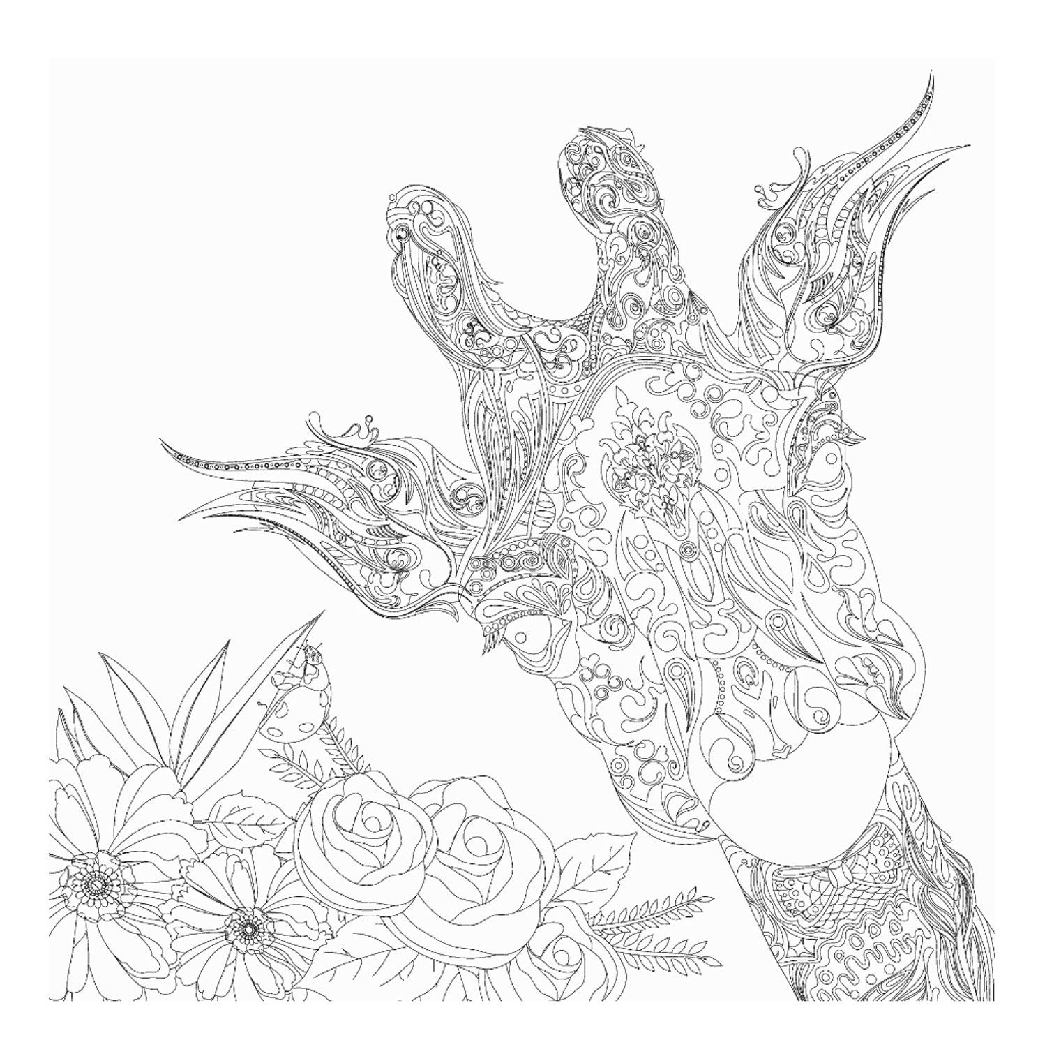 Honsell - Giraffe Frame, Format 30 x 30 cm, Printed Design for Colouring Acrylic, Watercolour and Oil Paints and Markers and White Coloured Pencils, (12122)