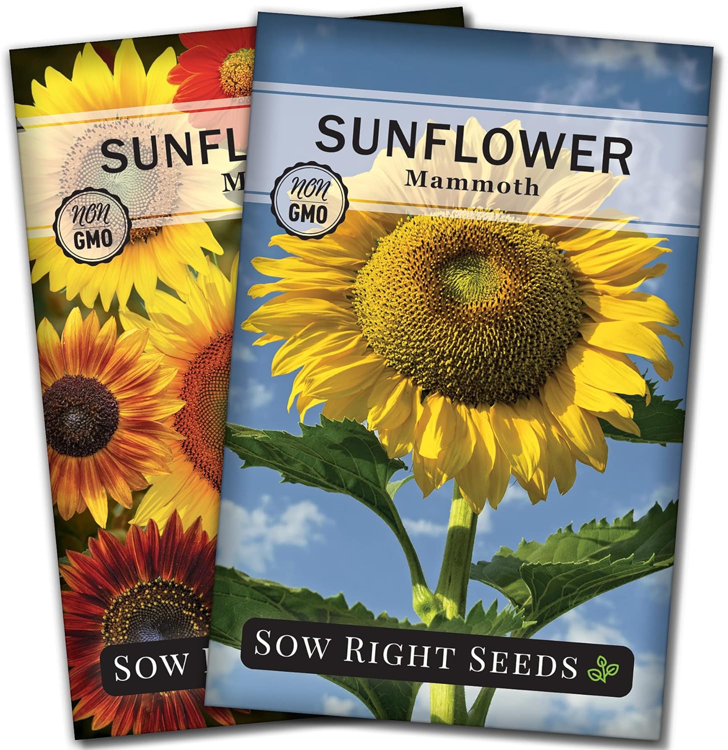 The Best Garden Sunflower Seeds The Best Home