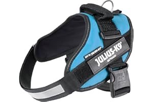Julius-K9, 16IDC-AM-0, IDC Powerharness, Dog Harness, Size: 0, Aquamarine