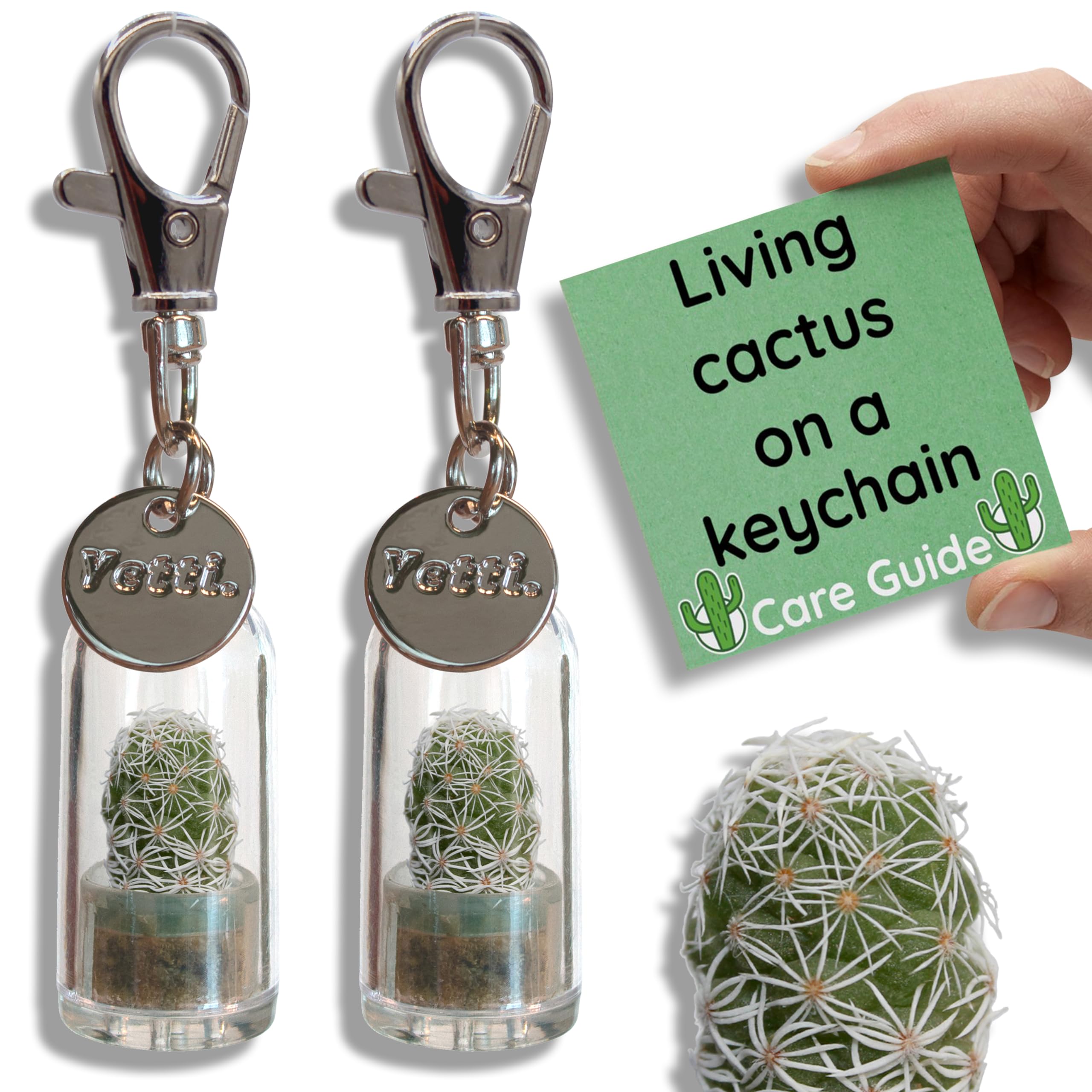 Yetti | Mini Cactus Gift Keyring - Living Plant on a Keychain (Ghost - Set of 2) | Tiny Plant Gift for Cactus Lovers, Plant Keyring Keychain