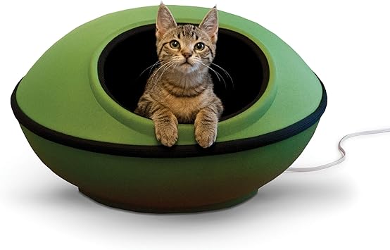 types of shar pei dogs