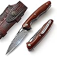 DRACHENADER Pocket Knife Damascus Made of Damascus Steel with Clip Vg10 Core Wooden Handle Gift for Knife (A2- A Knife with Genuine Leather Sheath (Set))