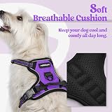 rabbitgoo Dog Harness Small No Pull Reflective Adjustable Vest Purple XS view 3