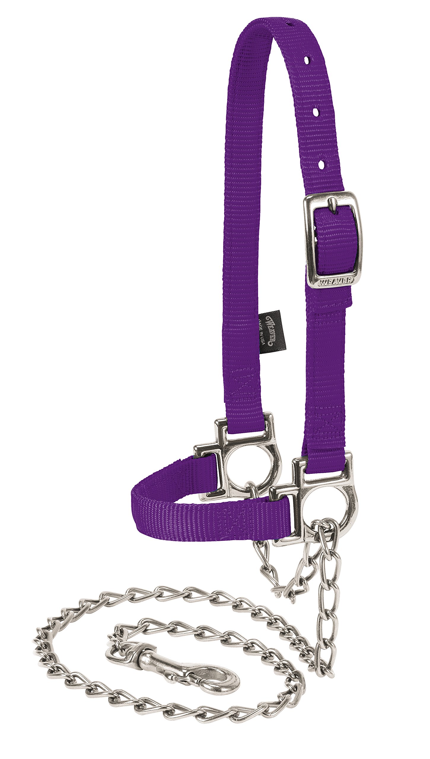 Weaver Leather Livestock Nylon Adjustable Sheep Halter with Chain Lead Purple Jazz, Average