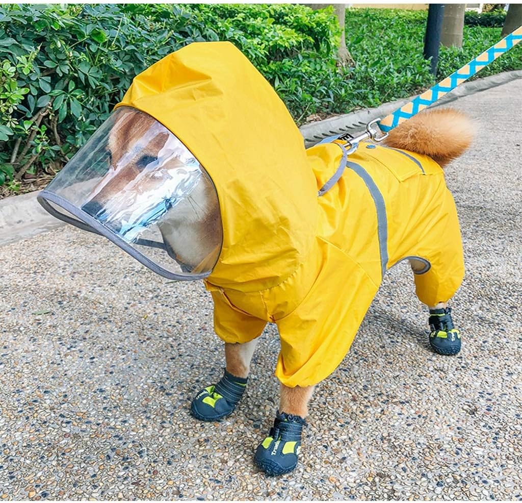 best dog collars for large dogs