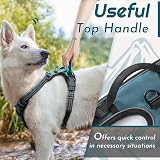 Eagloo Dog Harness Large No Pull Front Back Clips Reflective Dark Green view 5