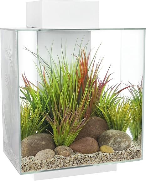 Amazon Com Fluval Edge 12 Gallon Aquarium With 42 Led Light White Fish Tank Coffee Tables Pet Supplies