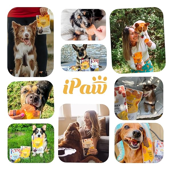 IPAW DOG TREATS FOR PUPPY TRAINING, ALL NATURAL HUMAN GRADE DOG TREAT, HYPOALLERGENIC, EASY TO DIGEST (FISH STICKS)