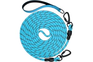 Aiyuda 30ft Long Dog Leash | Neoprene Padded Handle | Lockable Heavy Duty Clip | Handle Removable for Temporary Tie Out | Dog Training,Hiking,Camping,Playing Outside or in Yard | Blue, 3/8" Thick