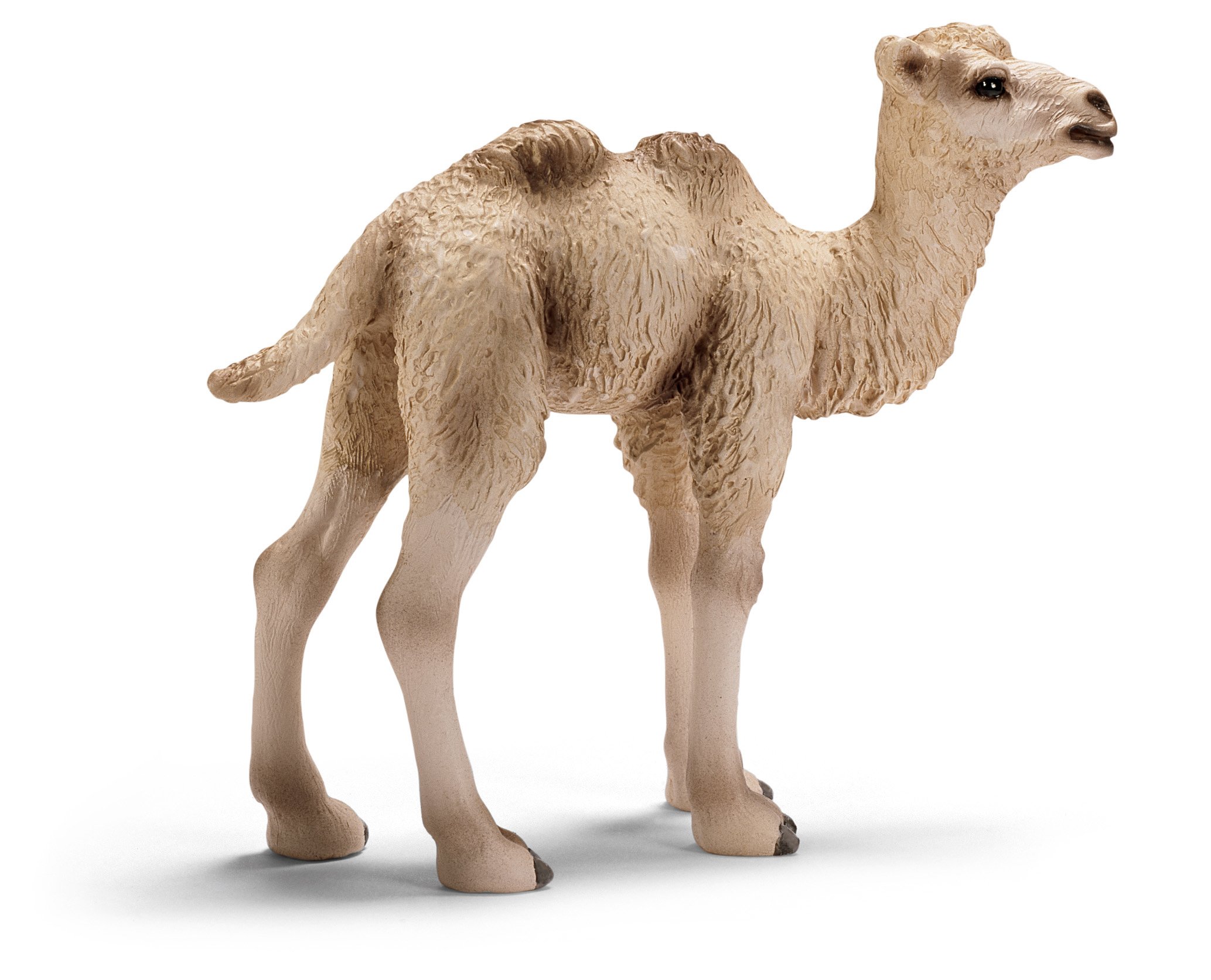schleich camel