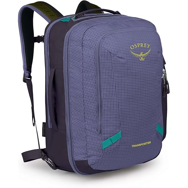 Amazon.com: Osprey Quasar Commuter Backpack, Silver Lining/Tunnel