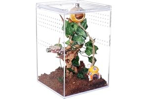 NANEEZOO Magnetic Acrylic Reptile Cage, 6"x6"x9" Tall Enclosure Transparent Reptile Breeding Box Terrarium Tank for Tarantula Scorpion Sling Isopods Invertebrates Insect Mantis