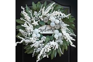 WREATHQUEEN Winter Wreaths for Front Door 24 Inch Winter Door Wreath with White Balls and Silver Berries, Festive Holiday Decor for Indoor and Outdoor, Seasonal Winter Home Decoration