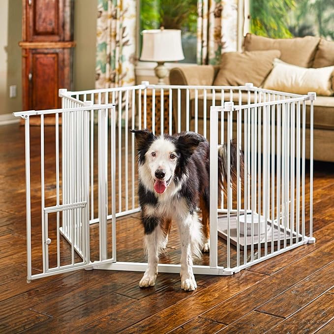 you and me walk through pet gate