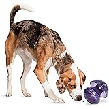 kibble nibble dog feeder ball