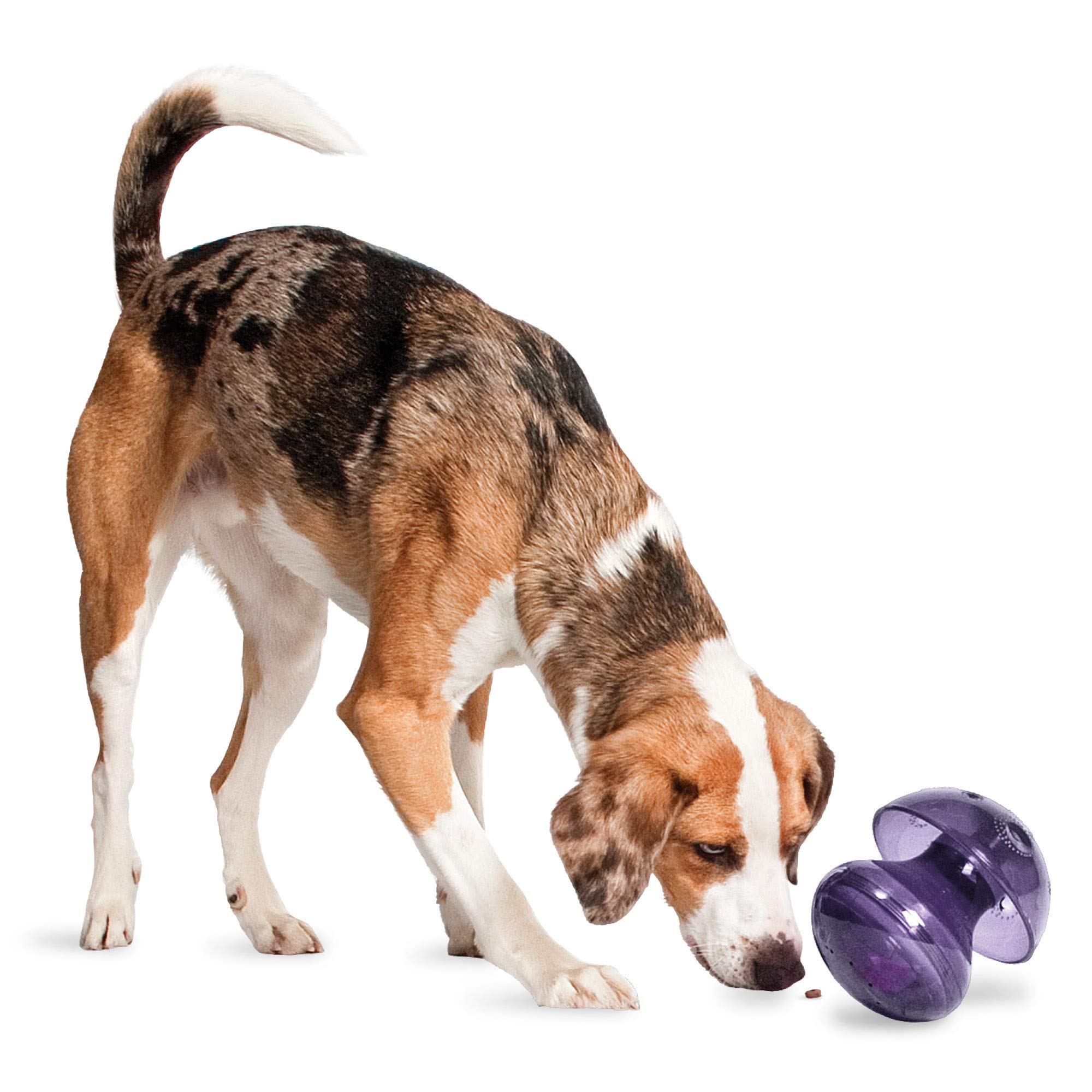 Busy Buddy Magic Mushroom Dog Pet Toy, Medium/LG