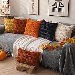 DFXSZ Fall Pillow Covers 20x20 Set of 2 Fall