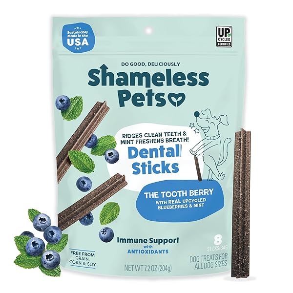 SHAMELESS PETS DENTAL TREATS FOR DOGS, THE TOOTH...