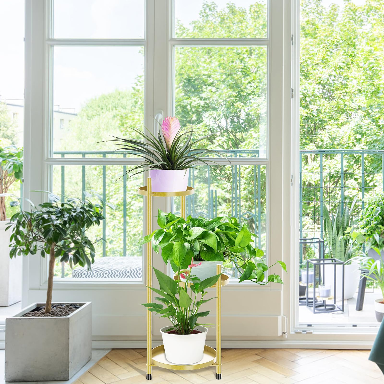 View 5